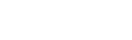 Netway Solutions logo