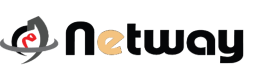 Netway Solutions logo
